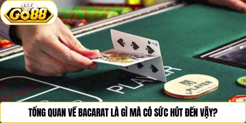 Tổng quan về bacarat là gì mà có sức hút đến vậy?